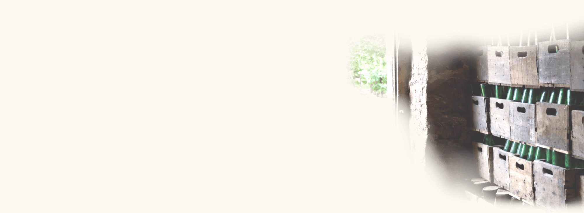 banner_3