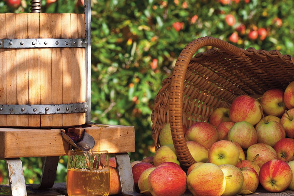 Ciders