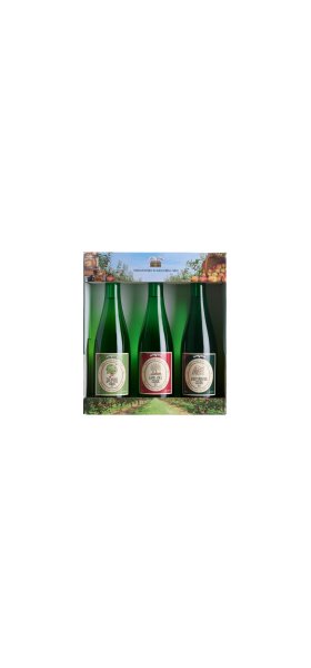 Cider cadeaudoos - Dwf cider drinks cadeauverpakking front - 982379